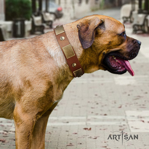 Cane Corso awesome full grain genuine leather dog collar for comfy wearing