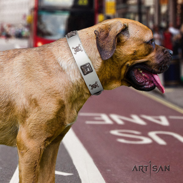 Cane Corso fashionable full grain genuine leather dog collar for everyday walking