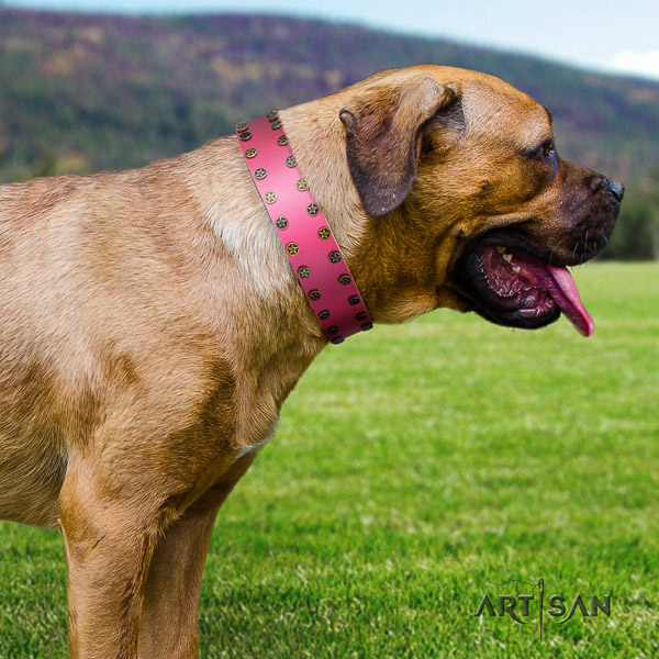 Cane Corso embellished full grain genuine leather dog collar for fancy walking