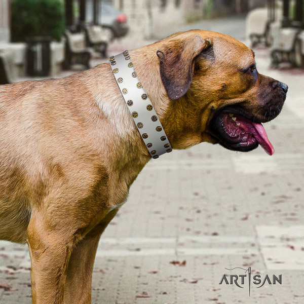 Cane Corso stylish leather dog collar for easy wearing