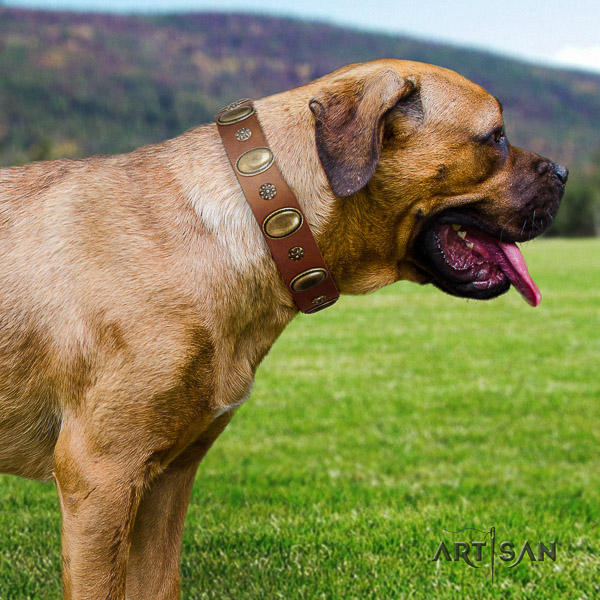 Cane Corso extraordinary natural genuine leather dog collar for daily walking