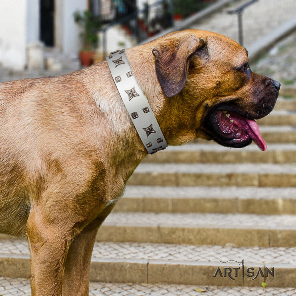 Cane Corso amazing natural genuine leather dog collar for handy use