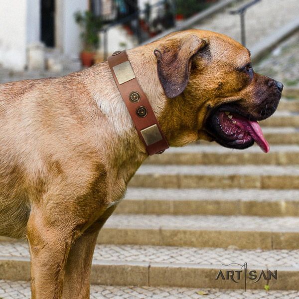 Cane Corso top notch full grain natural leather dog collar for comfy wearing