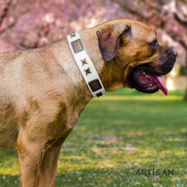 Cane Corso adorned natural genuine leather collar with corrosion proof traditional buckle