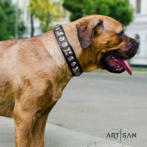 Cane Corso genuine leather collar with rust resistant traditional buckle