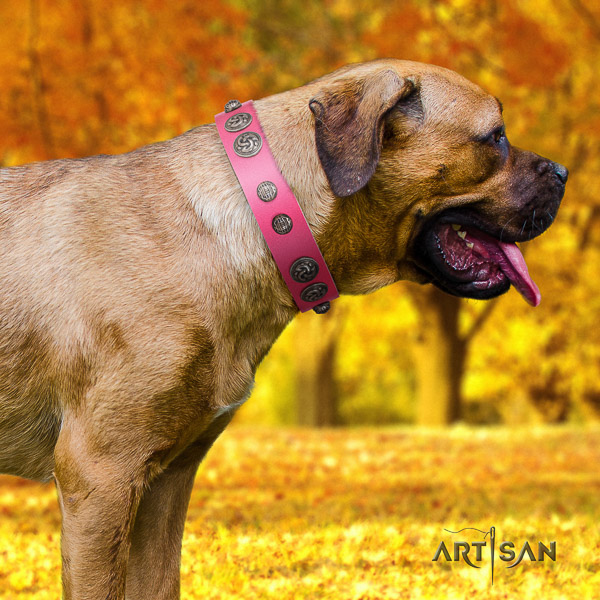 Cane Corso top notch full grain leather dog collar for everyday use