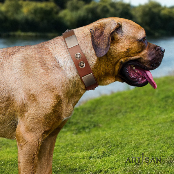 Cane Corso stylish full grain natural leather dog collar for everyday walking