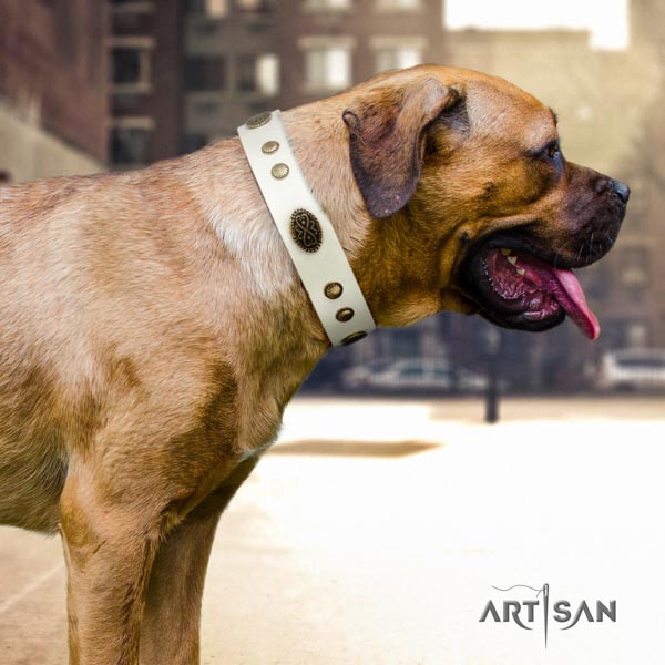 Cane Corso decorated full grain leather collar with strong traditional buckle
