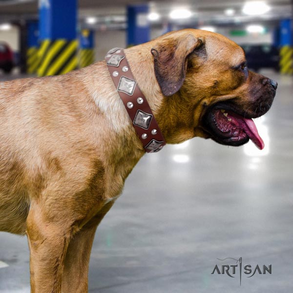 Cane Corso natural genuine leather collar with corrosion proof hardware