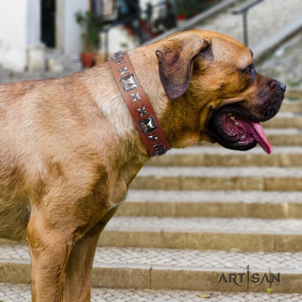 Cane Corso full grain leather collar with corrosion proof buckle