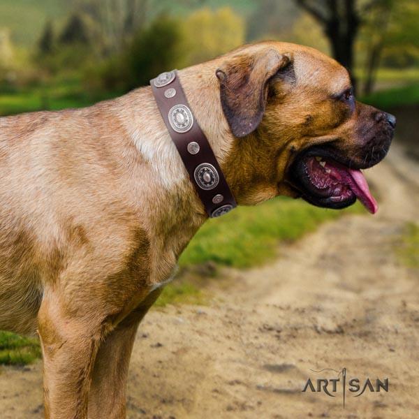 Cane Corso natural genuine leather collar with rust-proof D-ring