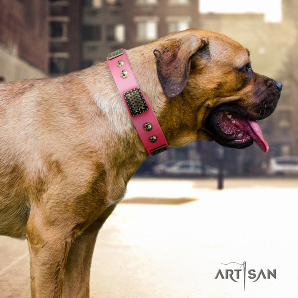 Cane Corso studded natural genuine leather collar with strong fittings