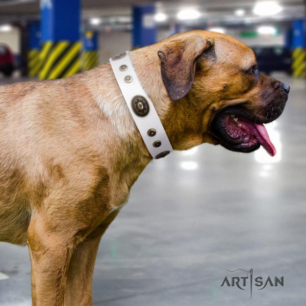 Cane Corso leather collar with durable hardware