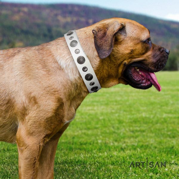 Cane Corso studded leather collar with strong traditional buckle