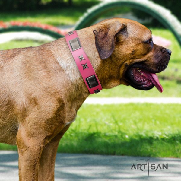 Cane Corso adorned full grain natural leather collar with rust-proof D-ring