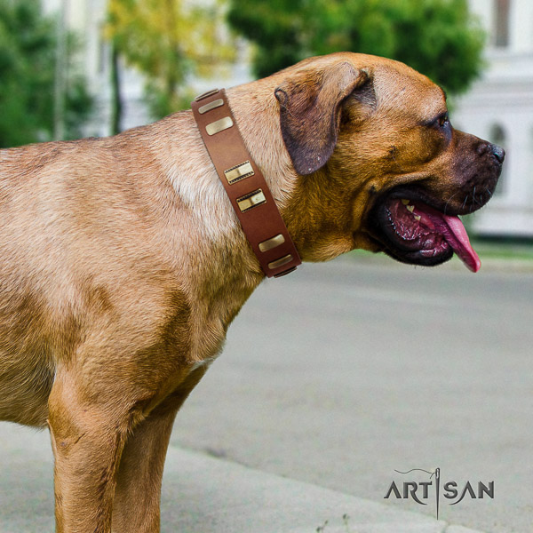 Cane Corso fine quality leather dog collar for everyday walking