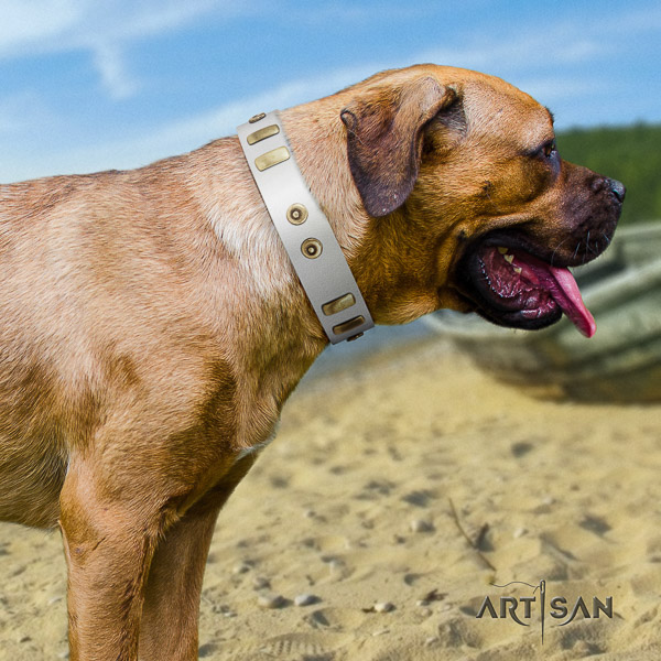 Cane Corso trendy full grain natural leather dog collar for basic training