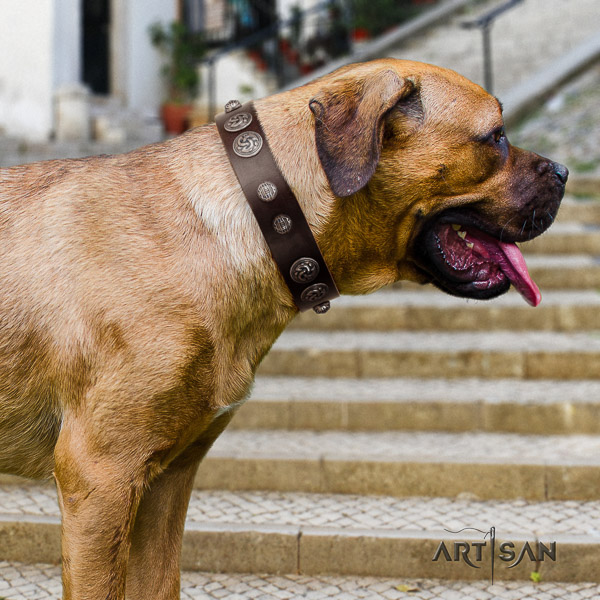Cane Corso best quality full grain genuine leather dog collar for daily use