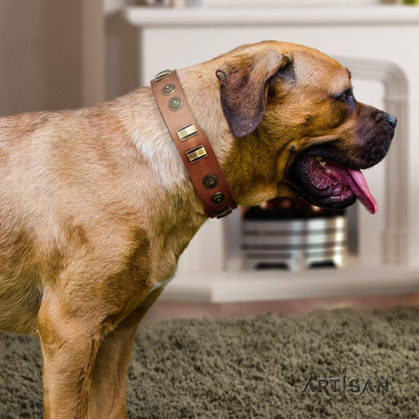 Cane Corso decorated genuine leather collar with rust-proof D-ring