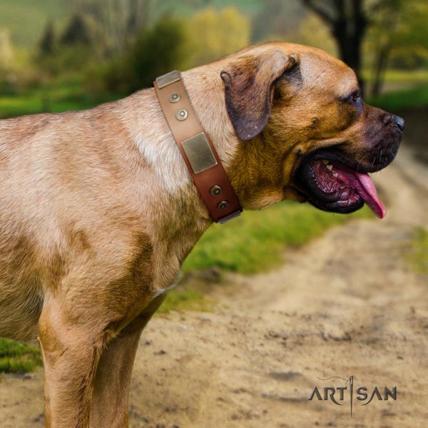 Cane Corso embellished genuine leather collar with corrosion resistant traditional buckle