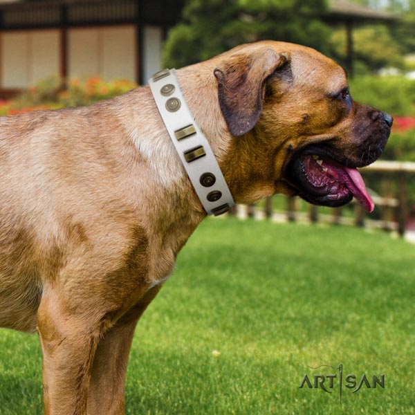 Cane Corso decorated full grain natural leather collar with corrosion resistant D-ring