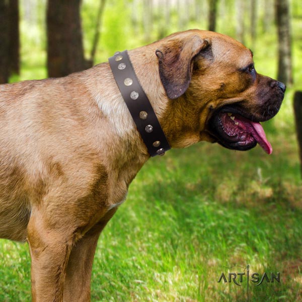 Cane Corso full grain genuine leather collar with strong traditional buckle