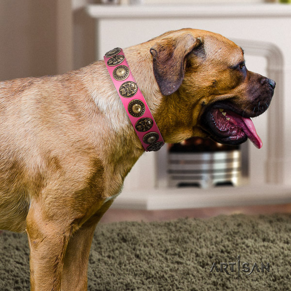 Cane Corso unique leather dog collar for comfortable wearing