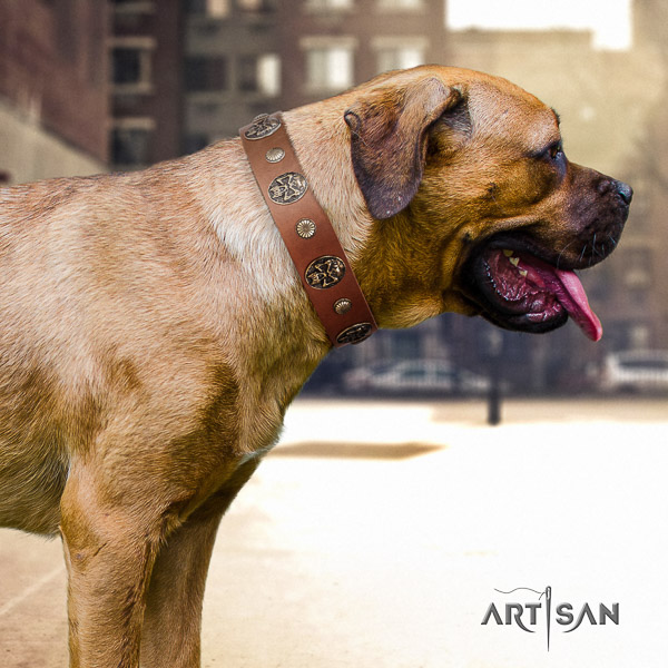 Cane Corso fashionable natural genuine leather dog collar for comfortable wearing
