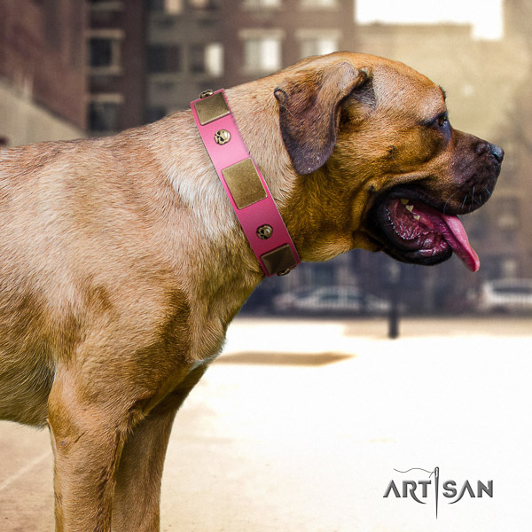 Cane Corso easy to adjust full grain natural leather dog collar for stylish walking
