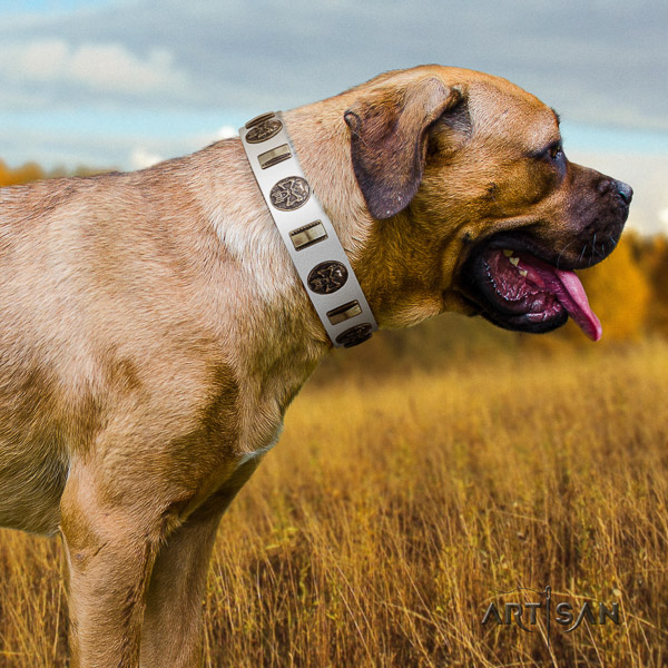 Cane Corso inimitable full grain natural leather dog collar for everyday walking