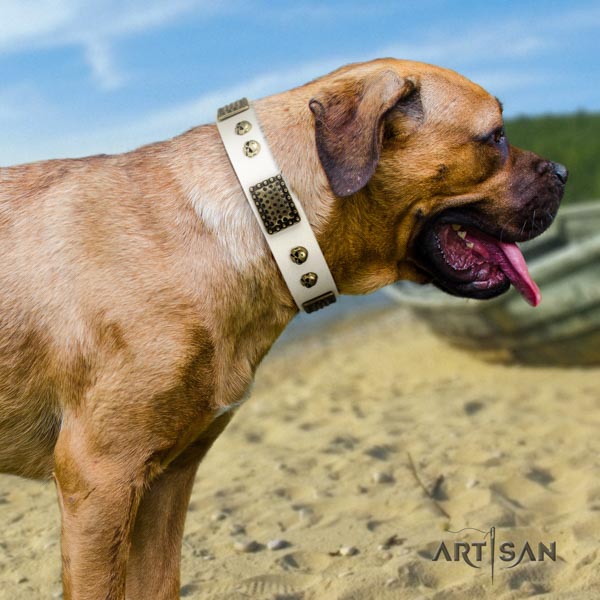 Cane Corso embellished full grain natural leather collar with strong buckle