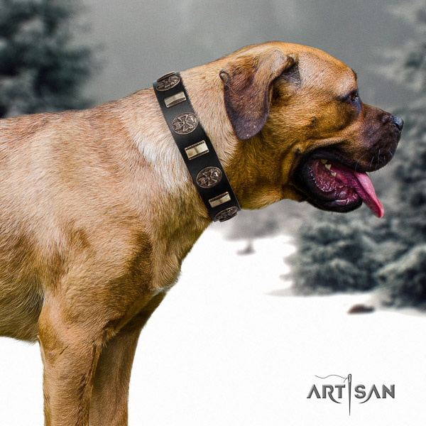 Cane Corso adorned natural genuine leather dog collar for fancy walking