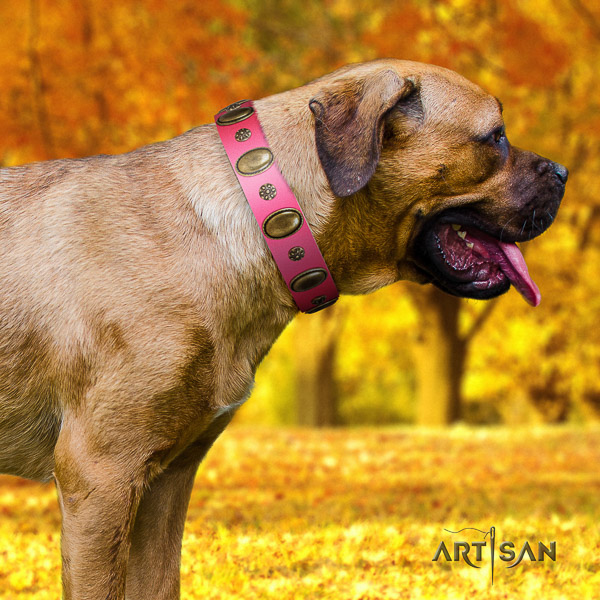 Cane Corso unusual full grain natural leather dog collar for fancy walking