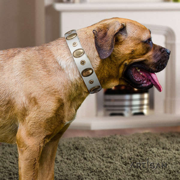 Cane Corso studded full grain natural leather dog collar for daily use