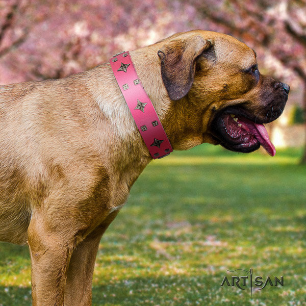 Cane Corso remarkable full grain natural leather dog collar for comfy wearing