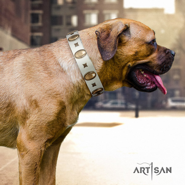 Cane Corso decorated full grain genuine leather dog collar for comfy wearing