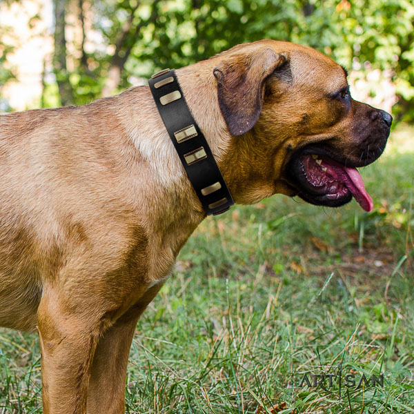 Cane Corso handmade leather dog collar for handy use