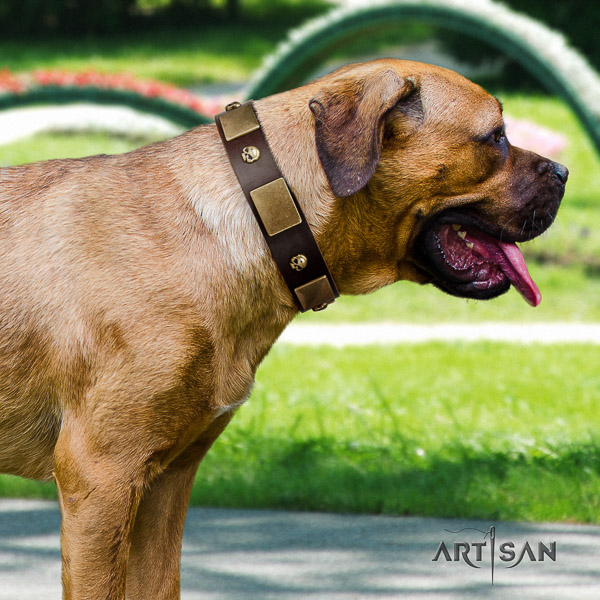 Cane Corso handcrafted full grain genuine leather dog collar for walking