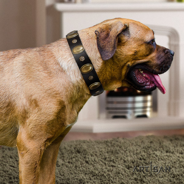 Cane Corso exceptional full grain leather dog collar for handy use
