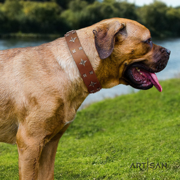 Cane Corso easy adjustable full grain natural leather dog collar for everyday use