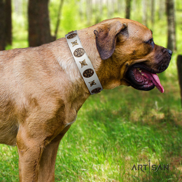 Cane Corso awesome natural genuine leather dog collar for comfortable wearing