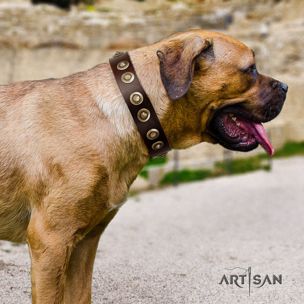 Cane Corso easy adjustable full grain natural leather dog collar for fancy walking