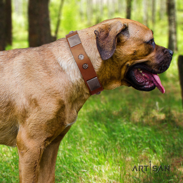Cane Corso fashionable full grain leather dog collar for easy wearing