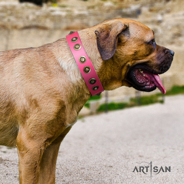 Cane Corso comfortable leather dog collar for basic training