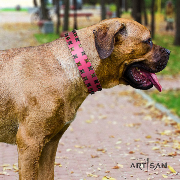 Cane Corso exceptional natural genuine leather dog collar for stylish walking