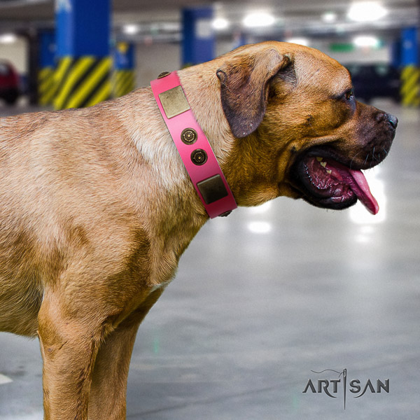 Cane Corso unique genuine leather dog collar for daily use