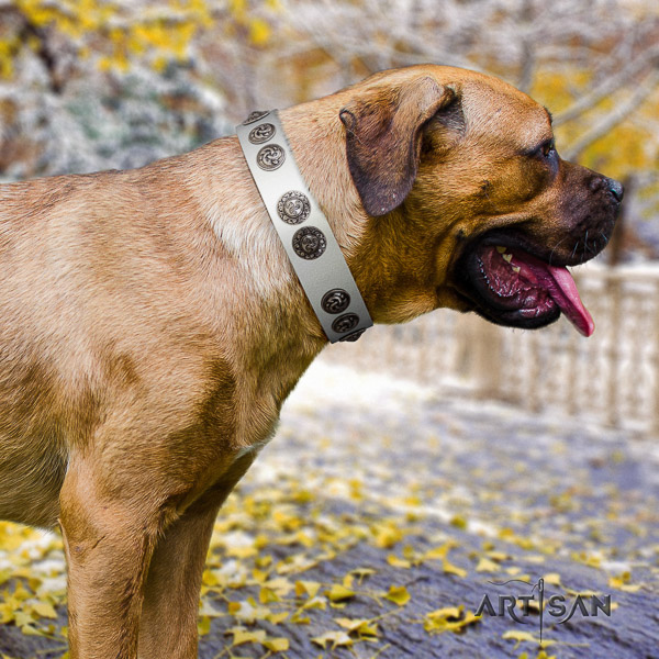 Cane Corso comfortable full grain genuine leather dog collar for handy use