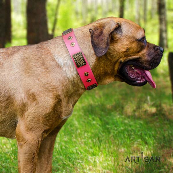 Cane Corso adorned full grain natural leather collar with corrosion resistant traditional buckle