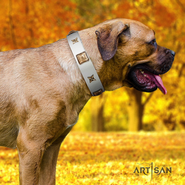 Cane Corso handmade leather dog collar for daily use