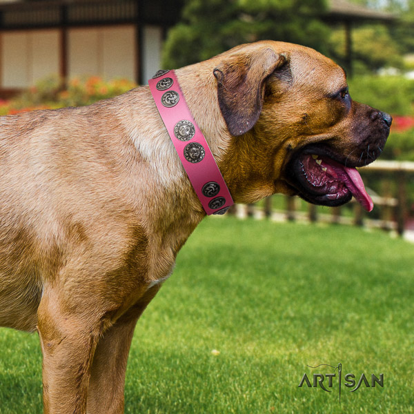 Cane Corso comfortable full grain leather dog collar for daily use